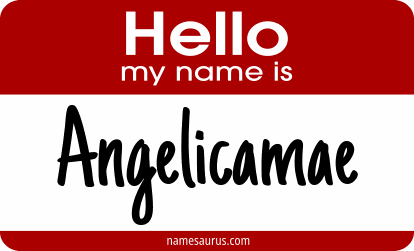 Hello my name is Angelicamae png download