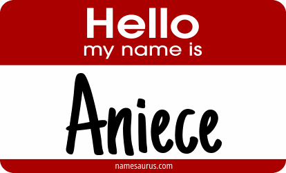 Hello my name is Aniece png download