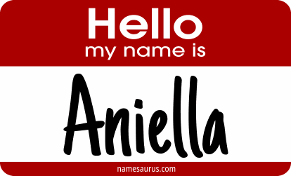 Hello my name is Aniella png download