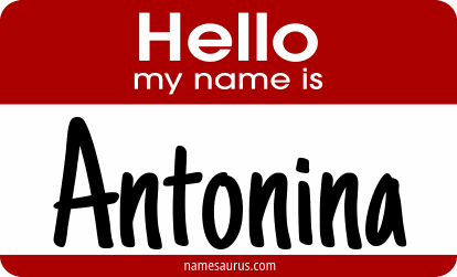 Hello my name is Antonina png download