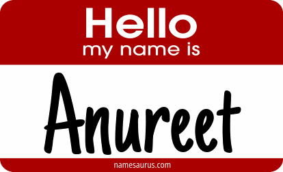 Hello my name is Anureet png download
