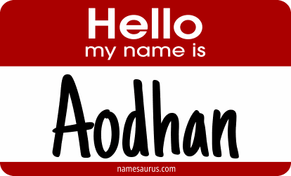 Hello my name is Aodhan png download