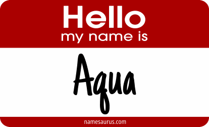 Hello my name is Aqua png download