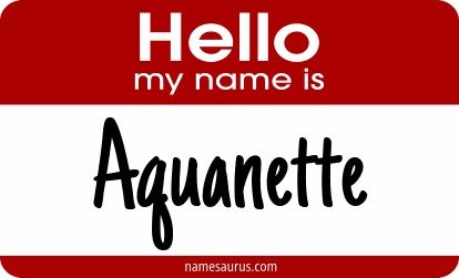 Hello my name is Aquanette png download