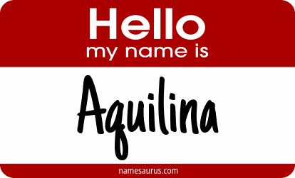Hello my name is Aquilina png download