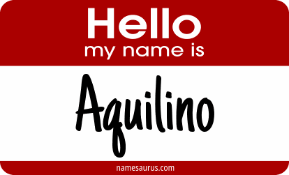 Hello my name is Aquilino png download