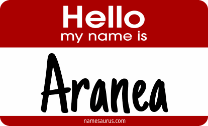 Hello my name is Aranea png download