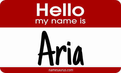 Hello my name is Aria png download