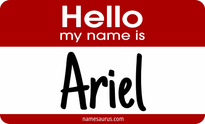Hello my name is Ariel png download