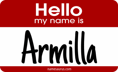 Hello my name is Armilla png download