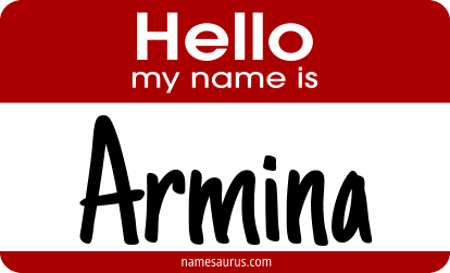 Hello my name is Armina png download