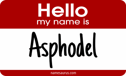 Hello my name is Asphodel png download