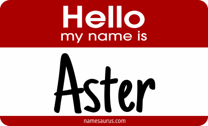 Hello my name is Aster png download