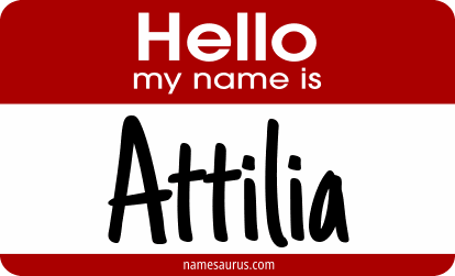 Hello my name is Attilia png download