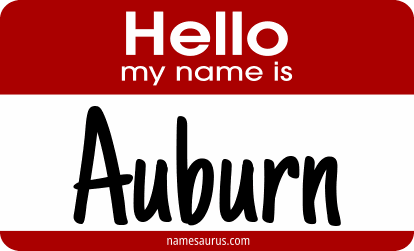 Hello my name is Auburn png download