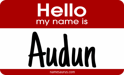 Hello my name is Audun png download