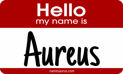 Hello my name is Aureus png download