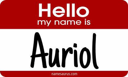 Hello my name is Auriol png download