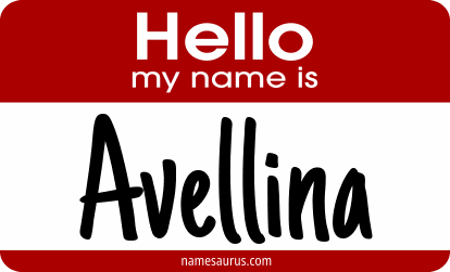 Hello my name is Avellina png download