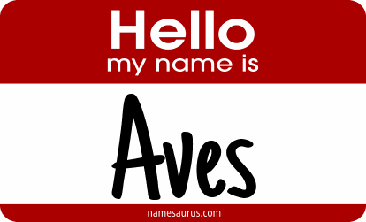 Hello my name is Aves png download