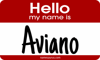 Hello my name is Aviano png download