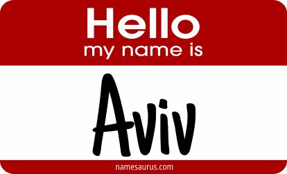 Hello my name is Aviv png download
