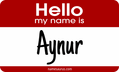 Hello my name is Aynur png download