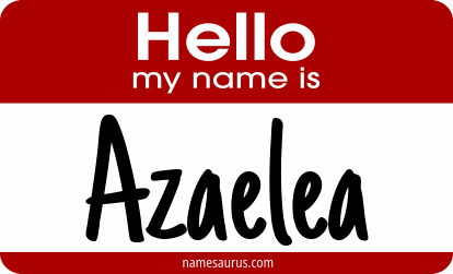Hello my name is Azaelea png download