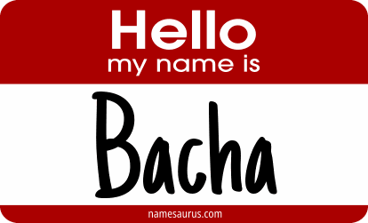 Hello my name is Bacha png download
