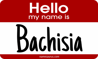 Hello my name is Bachisia png download