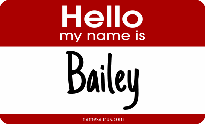 Hello my name is Bailey png download