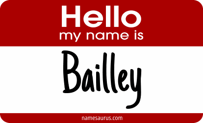 Hello my name is Bailley png download