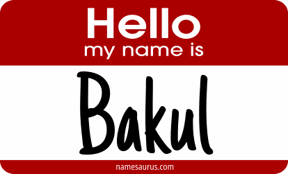 Hello my name is Bakul png download
