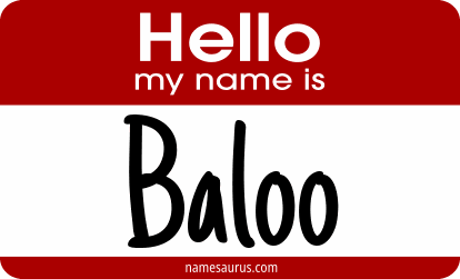 Hello my name is Baloo png download