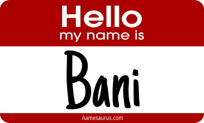 Hello my name is Bani png download