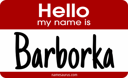 Hello my name is Barborka png download