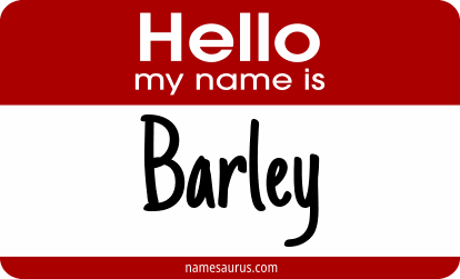 Hello my name is Barley png download