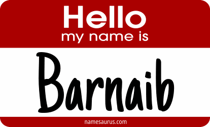 Hello my name is Barnaib png download