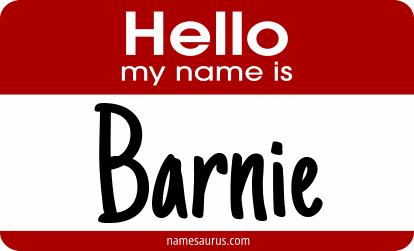Hello my name is Barnie png download