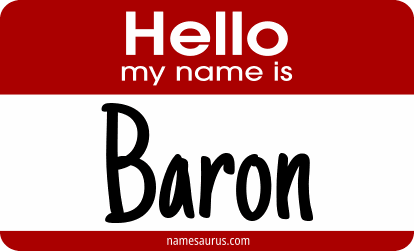 Hello my name is Baron png download