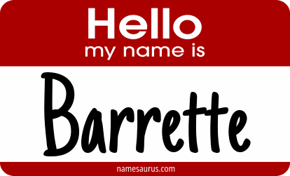 Hello my name is Barrette png download