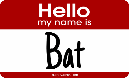 Hello my name is Bat png download