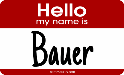 Hello my name is Bauer png download