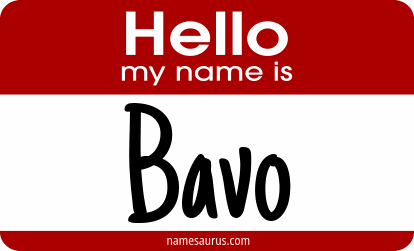 Hello my name is Bavo png download