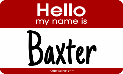 Hello my name is Baxter png download