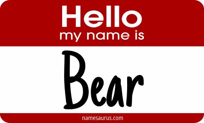 Hello my name is Bear png download
