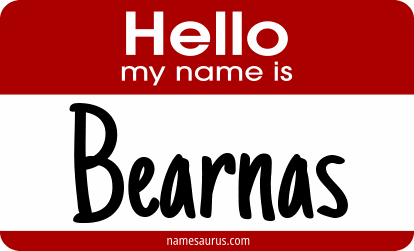 Hello my name is Bearnas png download