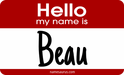 Hello my name is Beau png download