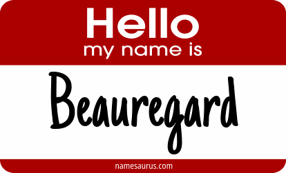 Hello my name is Beauregard png download