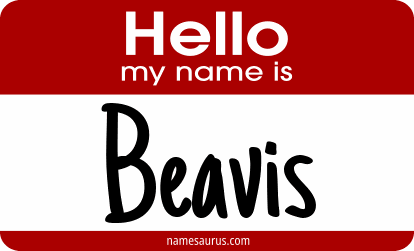 Hello my name is Beavis png download